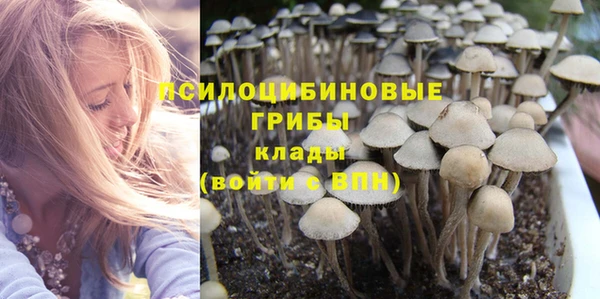 spice Майский