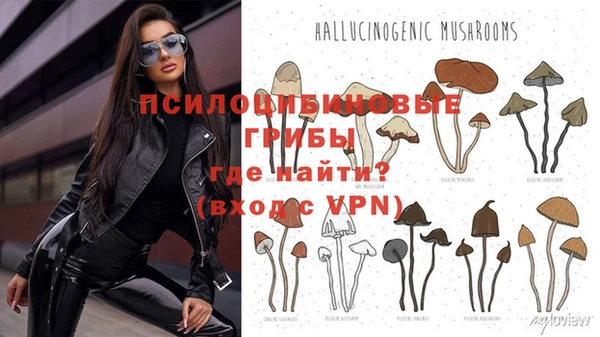 MESCALINE Лихославль