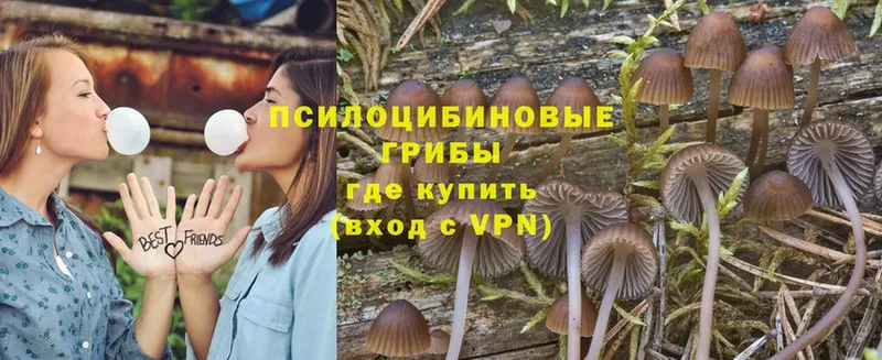 Галлюциногенные грибы MAGIC MUSHROOMS  Галич 