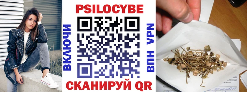 гидра зеркало  Галич  Галлюциногенные грибы Psilocybine cubensis 